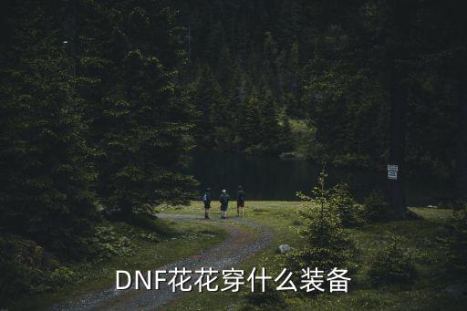 dnf花花要上衣什么属性，准备给我的小花花买套高级时装请问属性怎么加