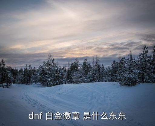 dnf 白金徽章 是什么东东