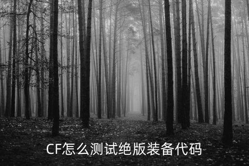 CF怎么测试绝版装备代码