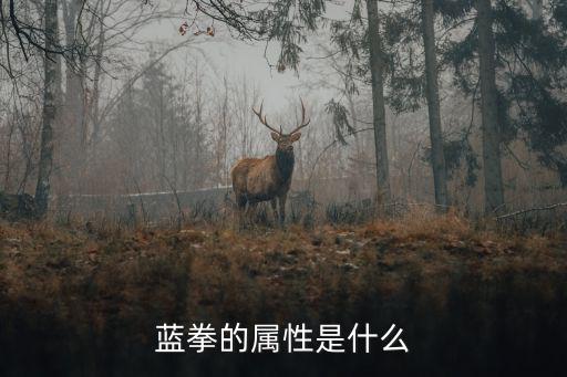 蓝拳的属性是什么