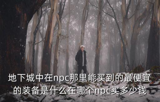 地下城中在npc那里能买到的最便宜的装备是什么在哪个npc买多少钱