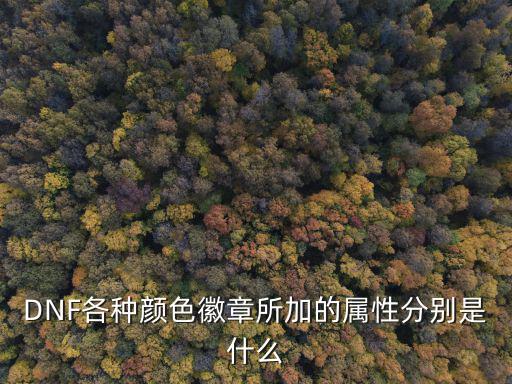 dnf什么徽章属性号，dnf徽章属性大全