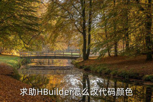 求助HBuilder怎么改代码颜色