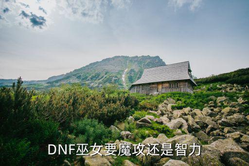 DNF巫女要魔攻还是智力