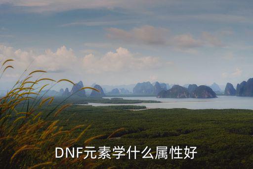 DNF元素学什么属性好