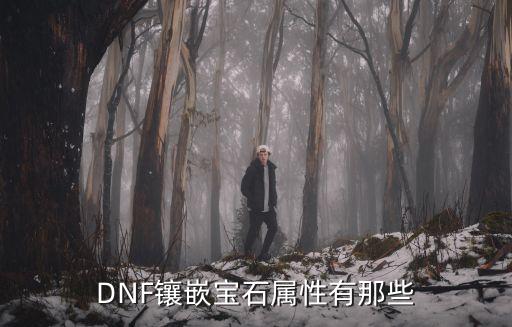 dnf镶嵌栏都什么属性，DNF装备上能镶嵌什么属性的徽章