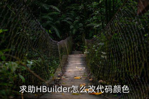 游戏装备如何换颜色的代码，求助HBuilder怎么改代码颜色