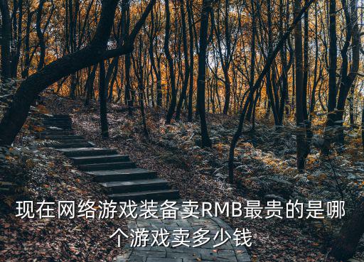 现在网络游戏装备卖RMB最贵的是哪个游戏卖多少钱