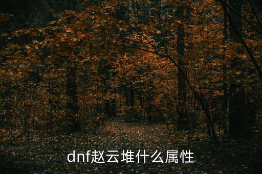 dnf赵云堆什么属性