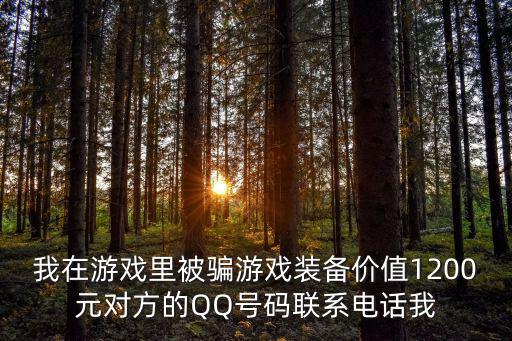 我在游戏里被骗游戏装备价值1200元对方的QQ号码联系电话我