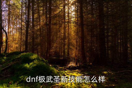 dnf极武圣什么属性，dnf武极走什么属性强化