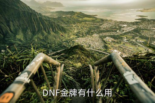 dnf圣者金牌什么属性，DNF 里的金牌银牌还有铜牌有什么用