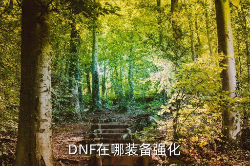 DNF在哪装备强化