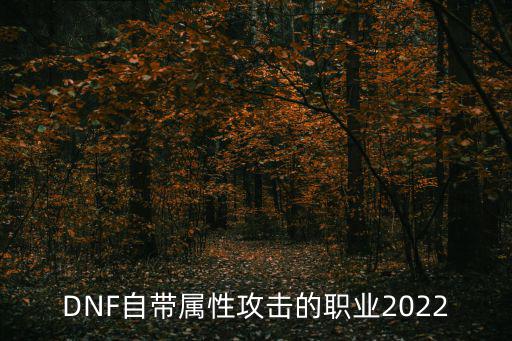 DNF自带属性攻击的职业2022