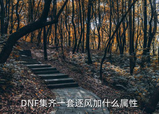 DNF集齐一套逐风加什么属性