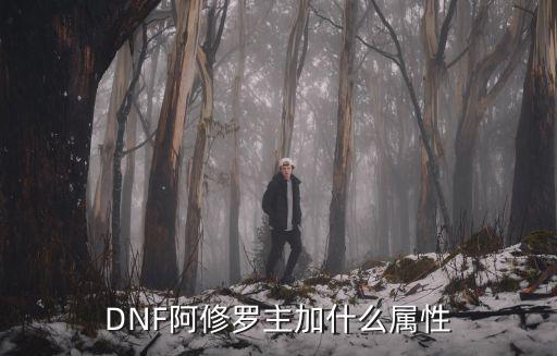 DNF阿修罗主加什么属性