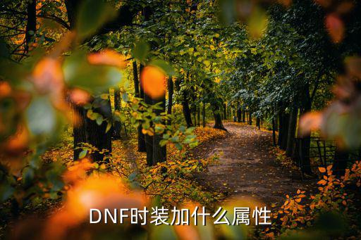 DNF时装加什么属性