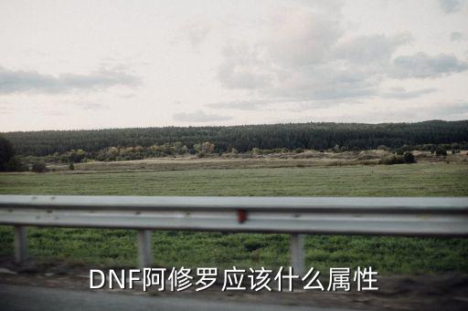 DNF阿修罗应该什么属性