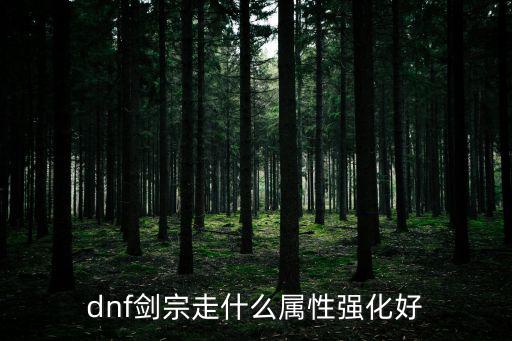 dnf剑宗走什么属性强化好