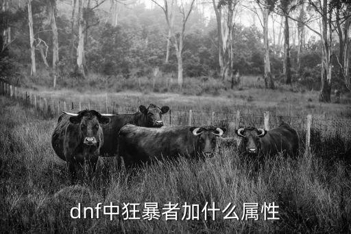 dnf中狂暴者加什么属性