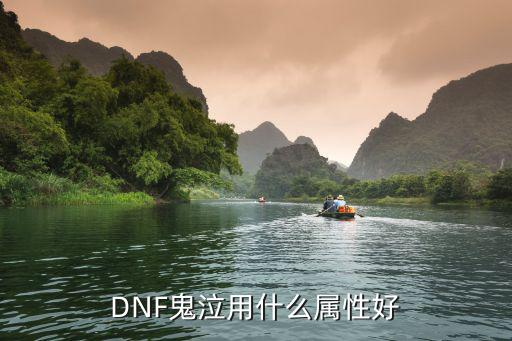 DNF鬼泣用什么属性好