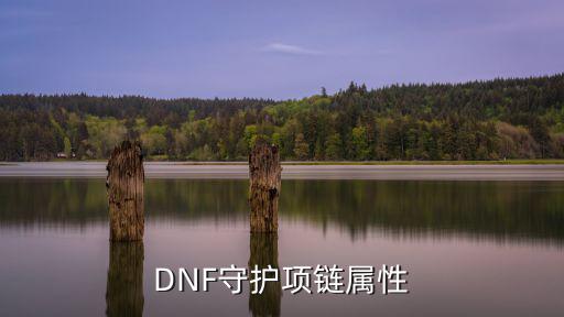 DNF守护项链属性