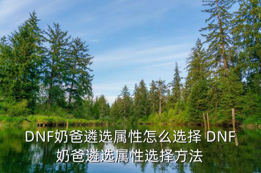 DNF奶爸遴选属性怎么选择 DNF奶爸遴选属性选择方法