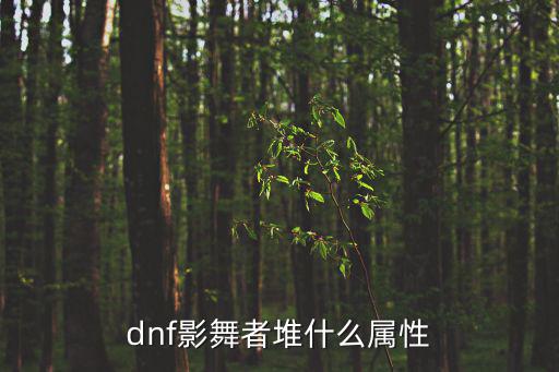 dnf影舞者堆什么属性