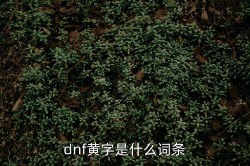 dnf黄字对应什么属性，dnf黄字是什么意思 dnf黄字的解释