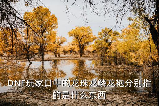 DNF玩家口中的龙珠龙鳞龙袍分别指的是什么东西