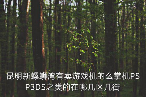 昆明新螺蛳湾有卖游戏机的么掌机PSP3DS之类的在哪几区几街