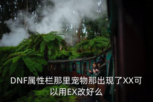 dnf修改宠物属性用什么，DNF属性栏那里宠物那出现了XX可以用EX改好么