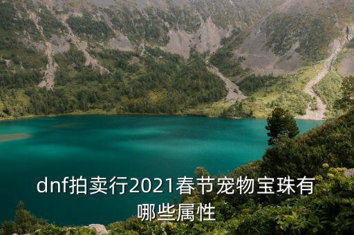 dnf拍卖行2021春节宠物宝珠有哪些属性