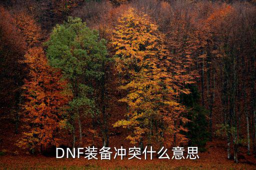 DNF装备冲突什么意思