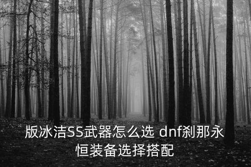 版冰洁SS武器怎么选 dnf刹那永恒装备选择搭配