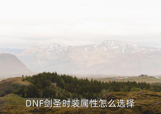 DNF剑圣时装属性怎么选择