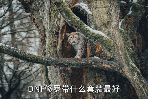 dnf修罗带什么套装属性，DNF修罗穿什么套装详细属性介绍下