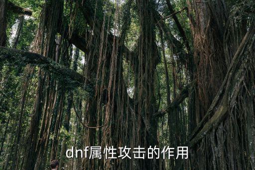 dnf属性攻击的作用