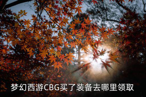 梦幻西游CBG买了装备去哪里领取