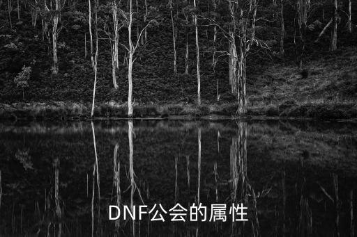 DNF公会的属性