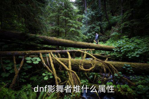 dnf影舞什么属性，地下城与勇士dnf影舞者走什么属强