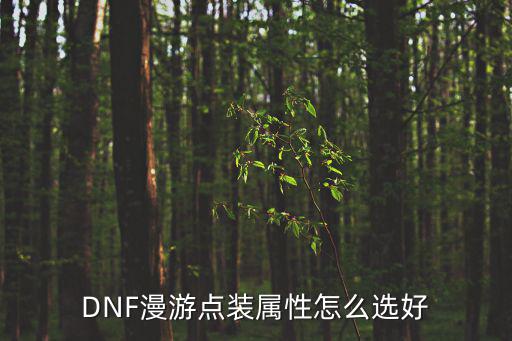 DNF漫游点装属性怎么选好