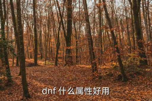 dnf 什么属性好用