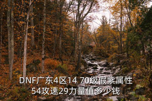 DNF广东4区14 70级假紫属性54攻速29力量值多少钱