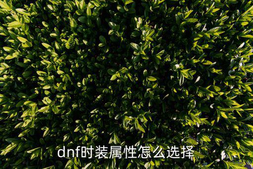 dnf时装属性怎么选择