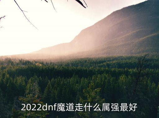 2022dnf魔道走什么属强最好