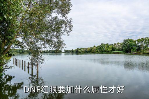 DNF红眼要加什么属性才好