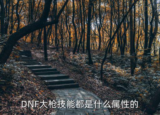 DNF大枪技能都是什么属性的