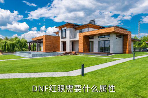 DNF红眼需要什么属性