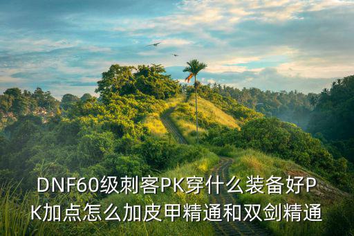 DNF60级刺客PK穿什么装备好PK加点怎么加皮甲精通和双剑精通